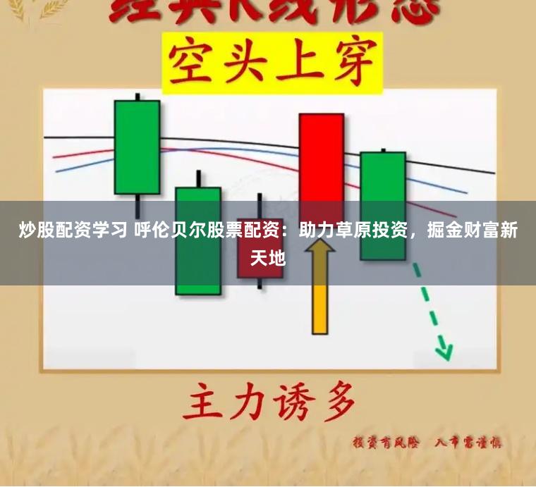 炒股配资学习 呼伦贝尔股票配资：助力草原投资，掘金财富新天地