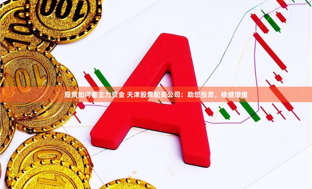 股票如何看主力资金 天津股票配资公司：助您投资，稳健增值