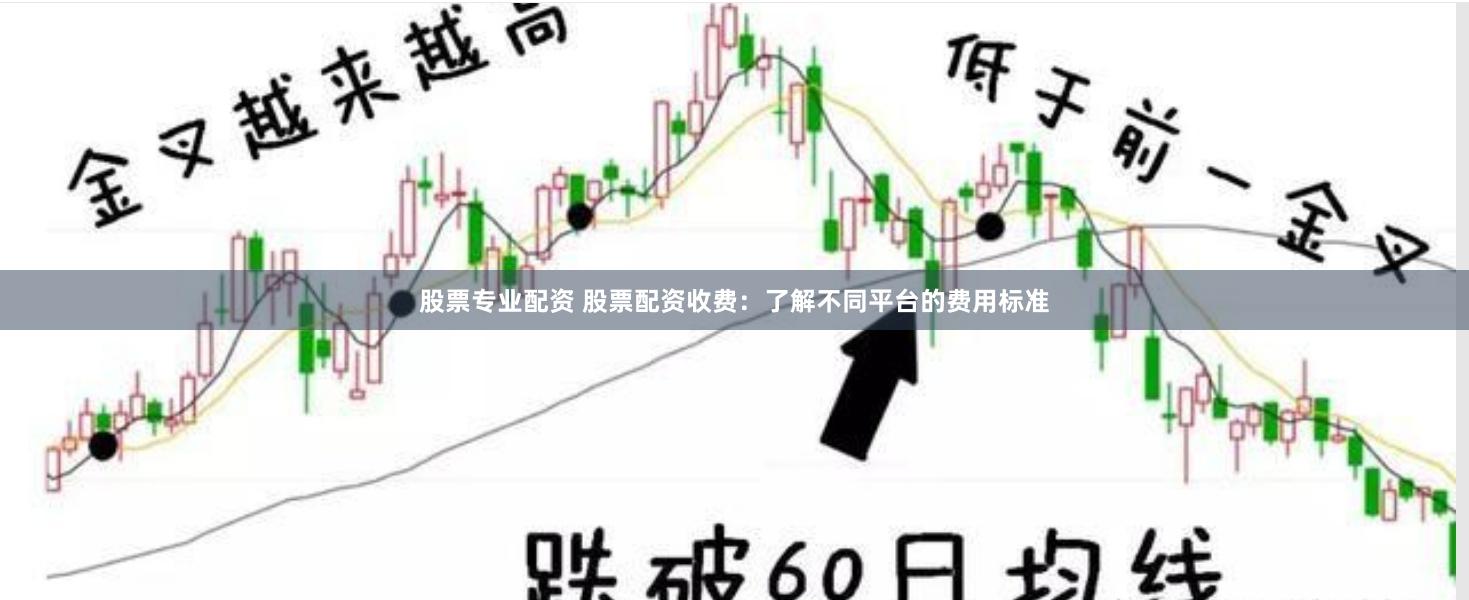 股票专业配资 股票配资收费：了解不同平台的费用标准