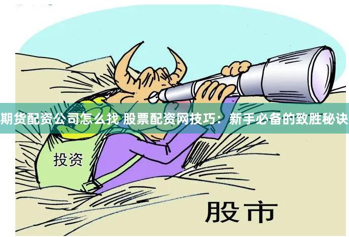 期货配资公司怎么找 股票配资网技巧：新手必备的致胜秘诀