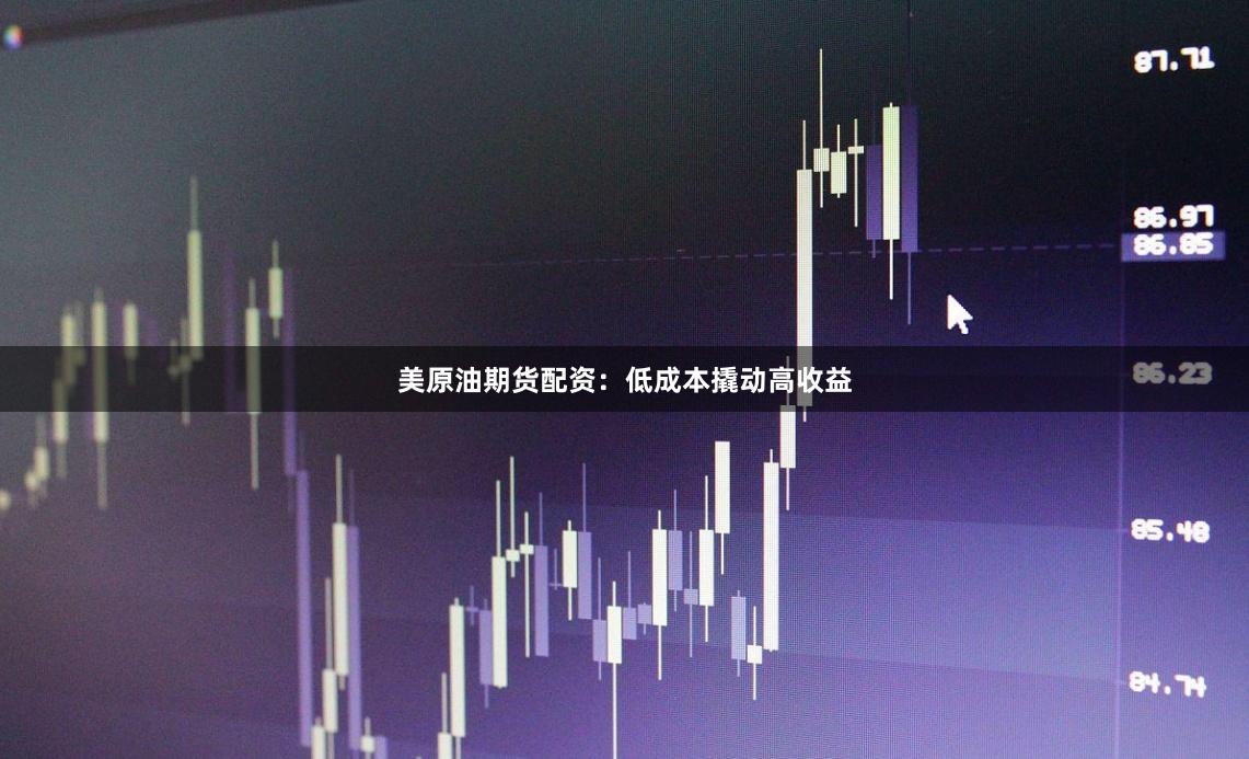 美原油期货配资:低成本撬动高收益
