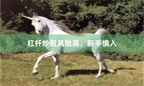 杠杆炒股风险高,新手慎入
